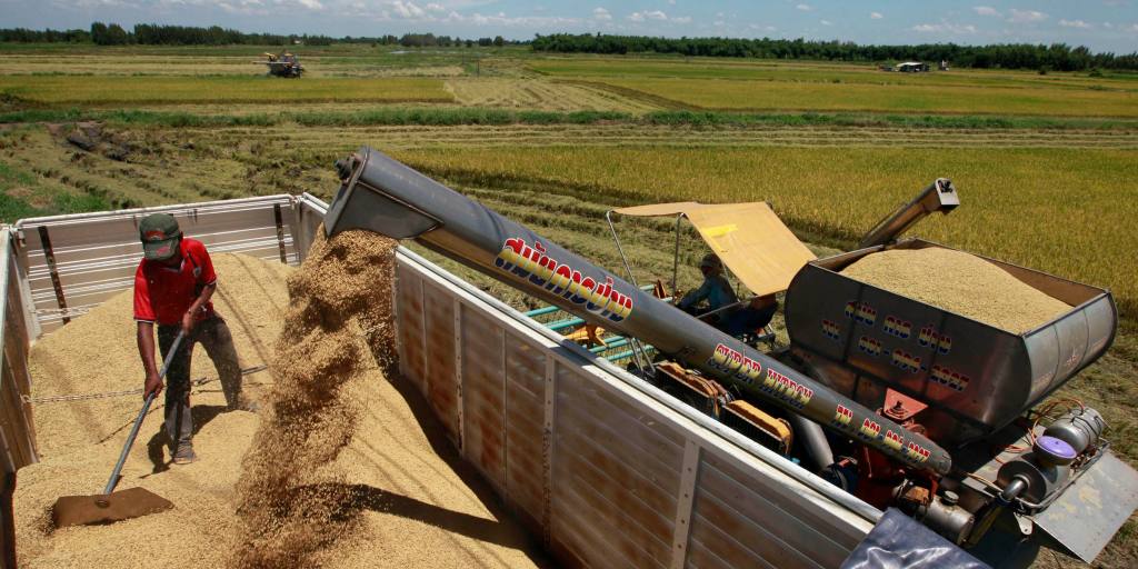 La Thaïlande exploite le riz et la biomasse de sucre pour se sevrer des combustibles fossiles