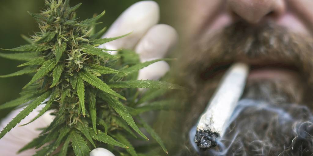 Le "pays des merveilles de la marijuana" en Thaïlande : 5 choses à savoir
