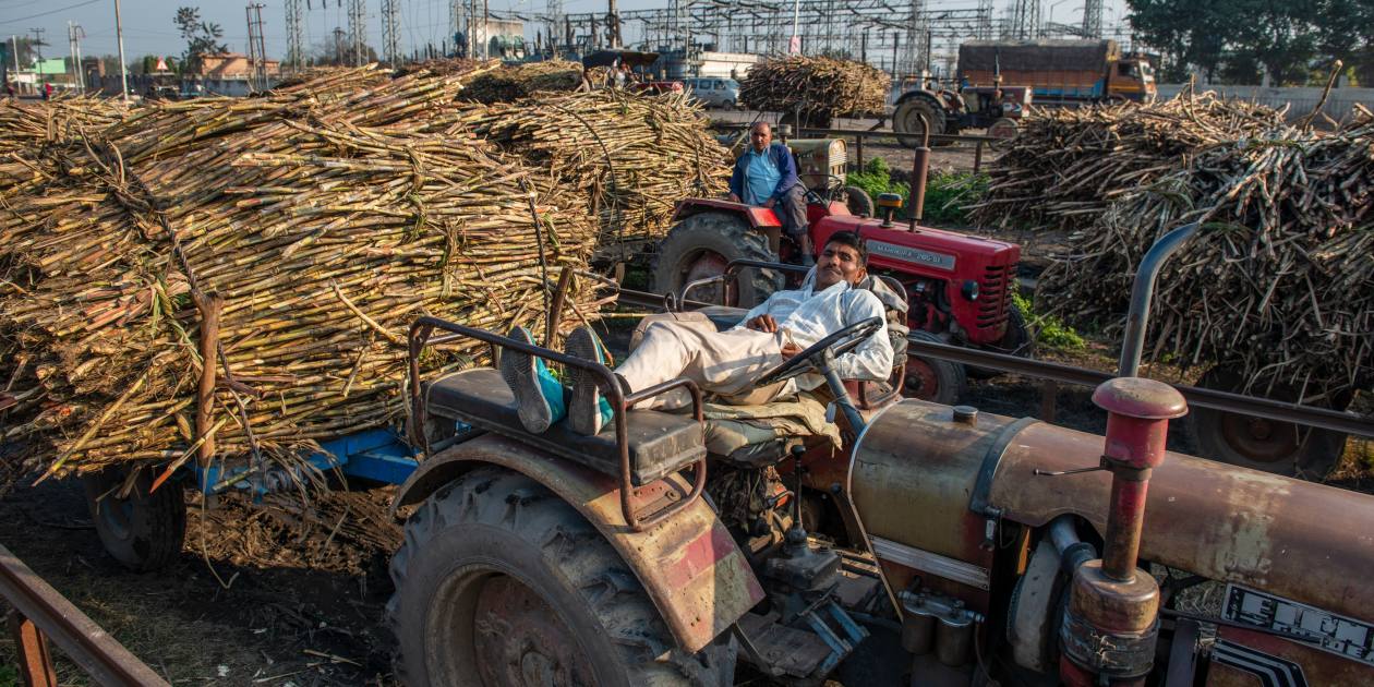 Les coopératives peuvent aider à lever la malédiction de la « croissance sans emploi » en Inde