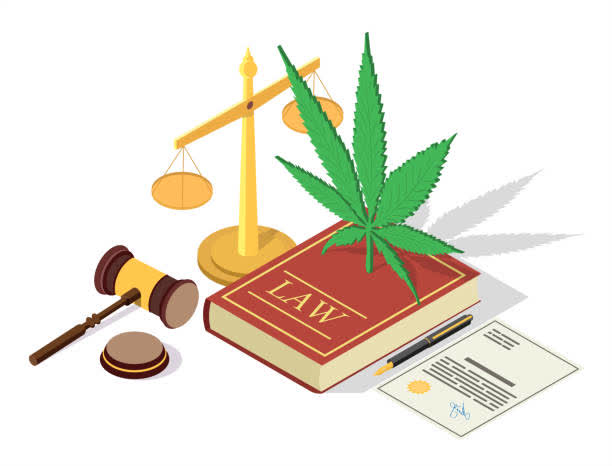 Le gouvernement déclare que les réglementations du ministère de la Santé traitent correctement du cannabis