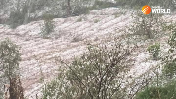 Les tempêtes estivales causent d’importants dégâts à Chiang Mai samedi