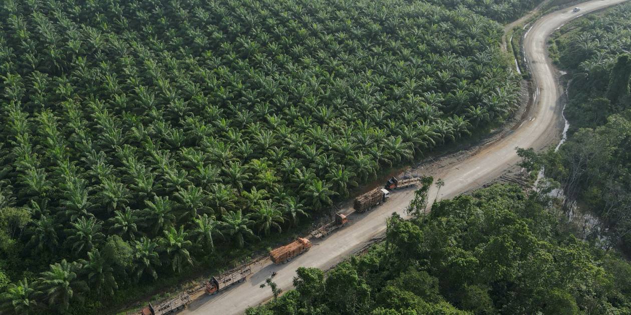 De l’Indonésie au Vietnam, El Nino attise les craintes d’incendies et de sécheresse